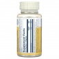  Solaray Vitamin B-6 100  60 