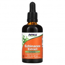  NOW Echinacea Extract 60 