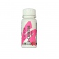 - Steel Time L-Carnitine 3100 60 